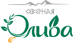 Северная Олива